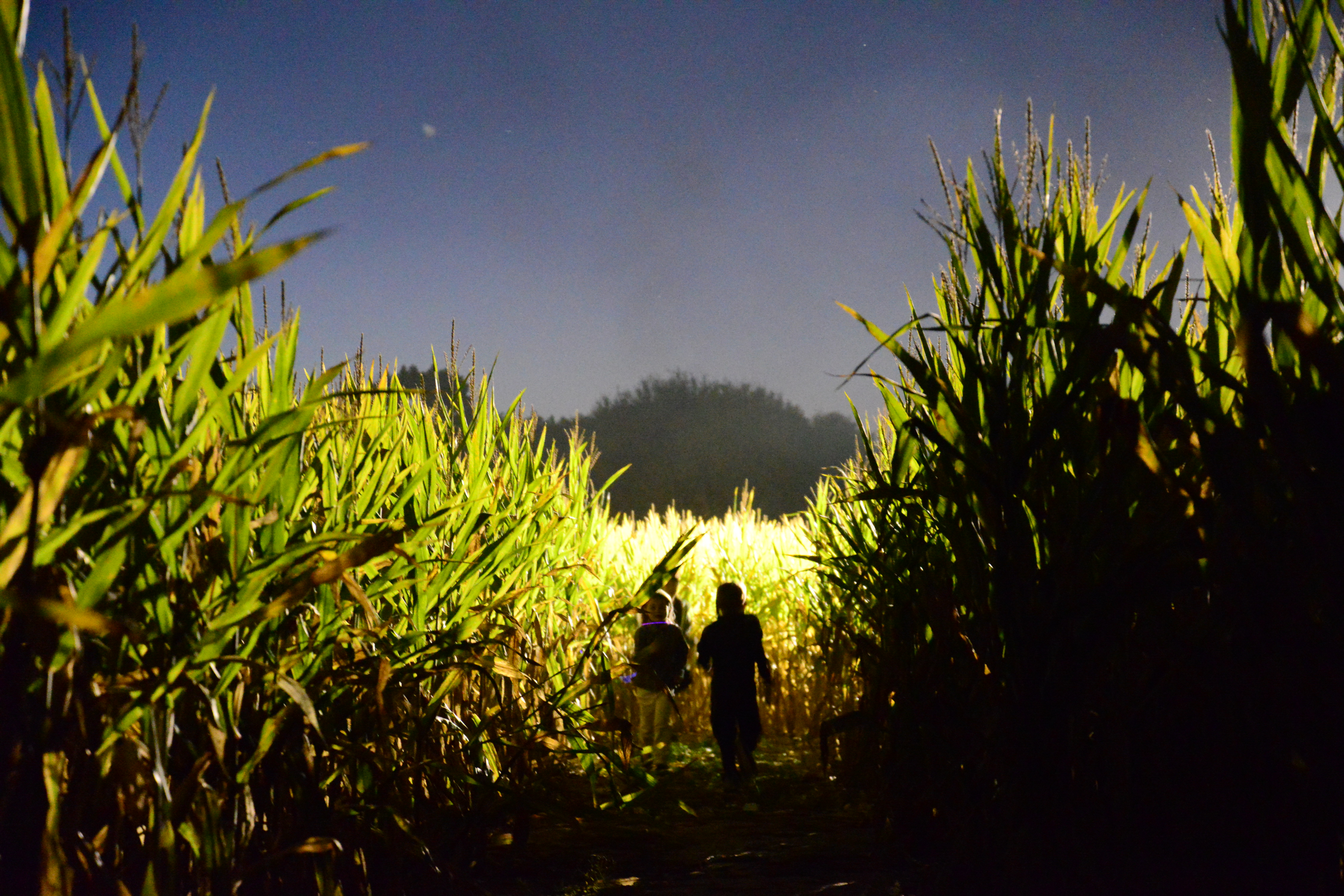 LSU AgCenter Botanic Gardens presents Night Maze, Bonfire at Burden on Oct. 29